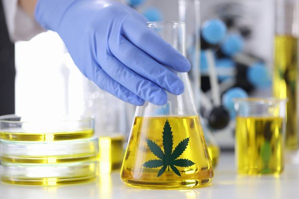 Le CBD made in France est-il plus cher que les autres ?