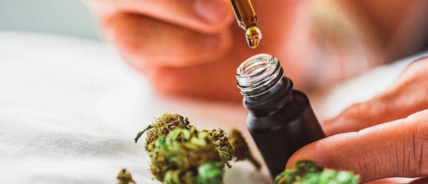 Pourquoi consommer l'huile de CBD ?