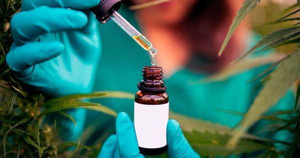 Comment le CBD peut aider à traiter les symptômes de l'épilepsie