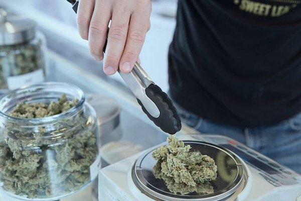 Comment acheter du CBD au meilleur prix ?