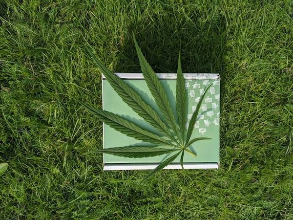 Comment consommer le CBD de manière sûre et légale ?