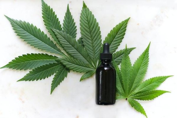 Les différentes formes de CBD : avantages, inconvénients et prix