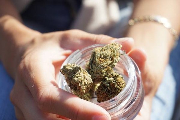 Comment comparer les prix et la qualité des produits à base de CBD ?